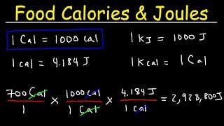 Joules, Food Calories, &amp; Kilojoules - Unit Conversion With ...