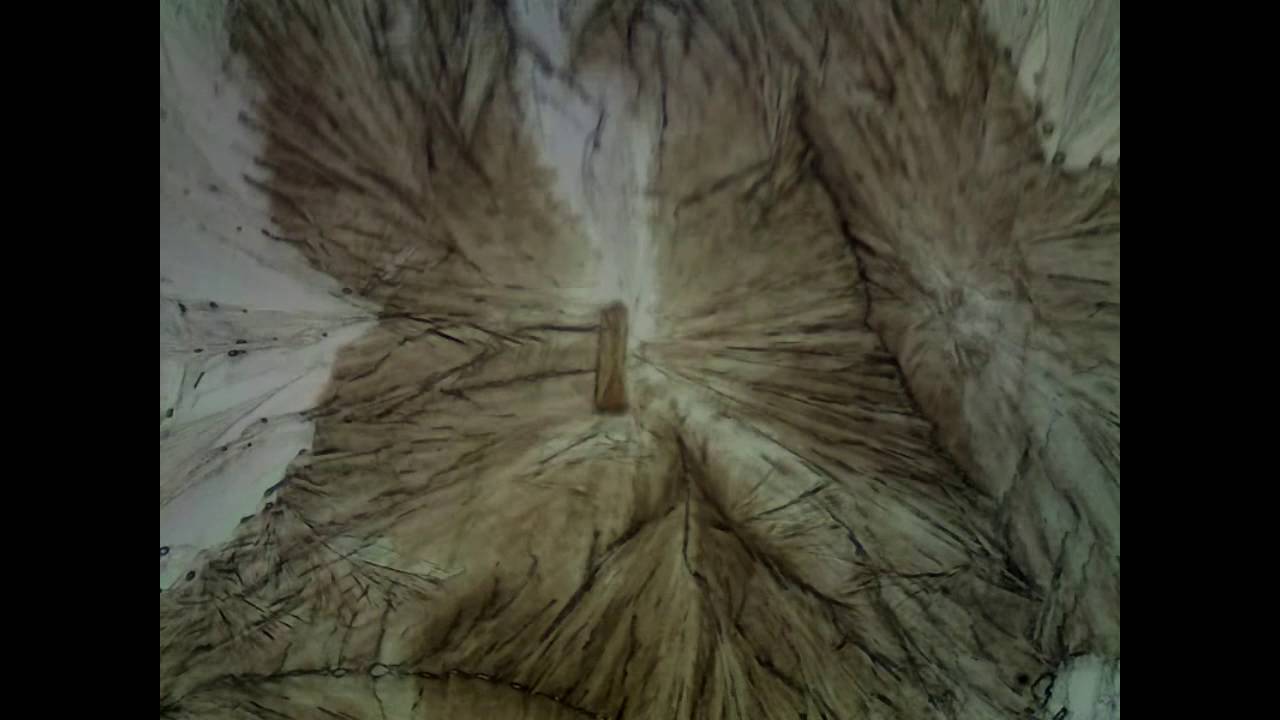 microscope polarisant 2ème partie