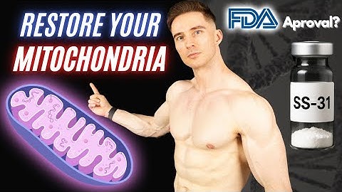Restore Mitochondria with SS-31 Peptide | NEW Data !