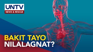 Huwat Trivia Bakit Tayo Nilalagnat?
