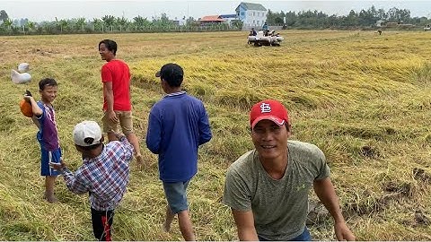 CÙNG ANH EM 2 LÚA MIỀN TÂY THEO MÁY CẮT BẮT CHUỘT ĐỒNG-T81