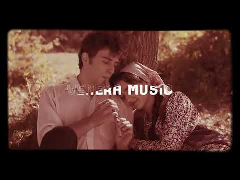 Soyuq günəş-Yarqunat