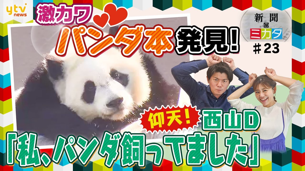 【ミヤネ屋SP】「私、パンダ飼ってました」西山Dが仰天告白！？パンダ記事を集めたムック本『パンダダイアリー』とは【読売新聞のミカタ】