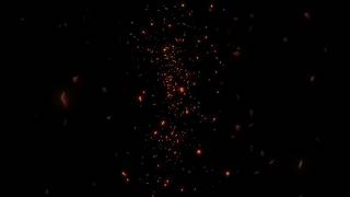 Duomi Fx8 On With Animation