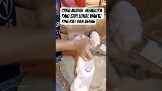 Tutorial Membuka Kaki sapi dengan cepat | Sapi qurban 2026#membukakakisapi#sapiqurban#iduladha#cow