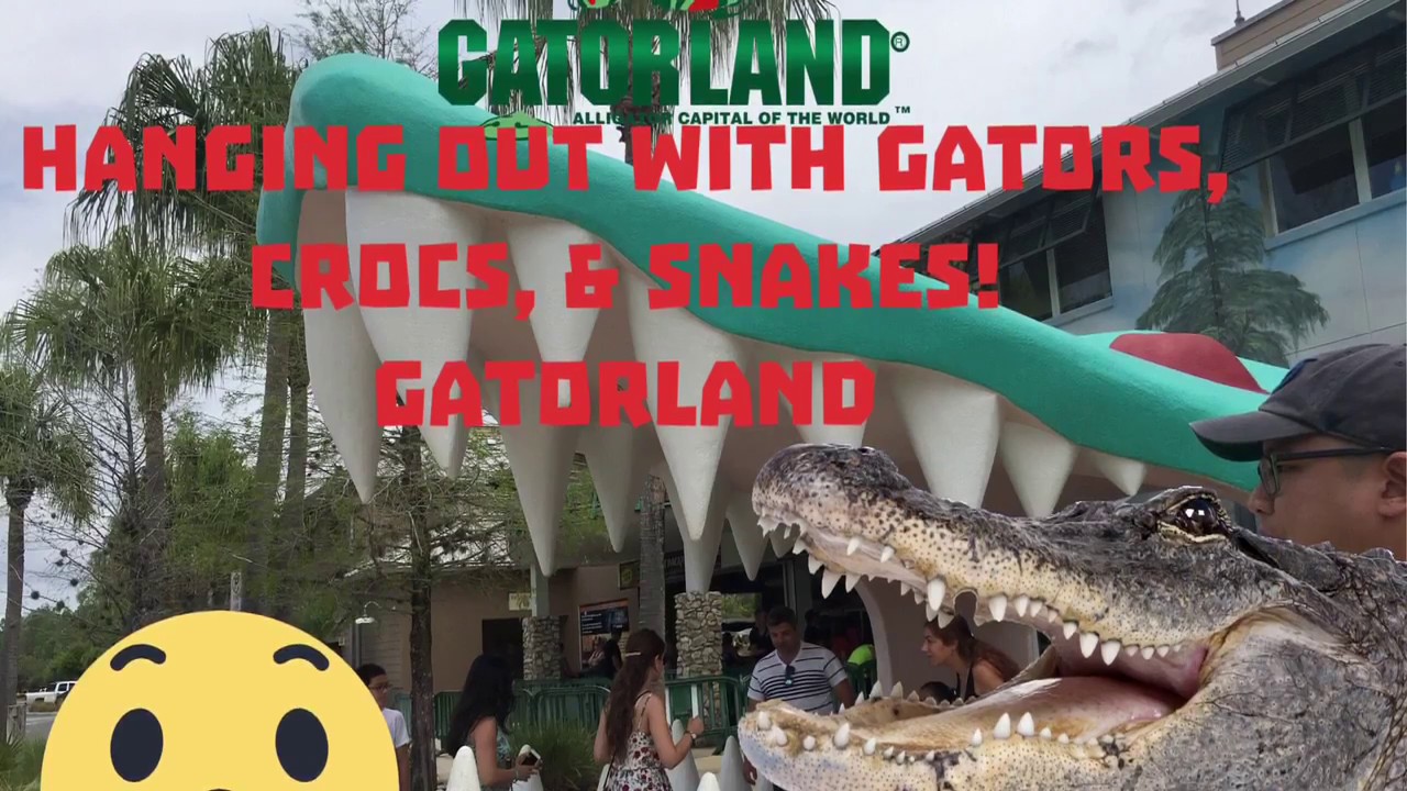 Gatorland! Alligators, Crocodiles & Snakes! - YouTube