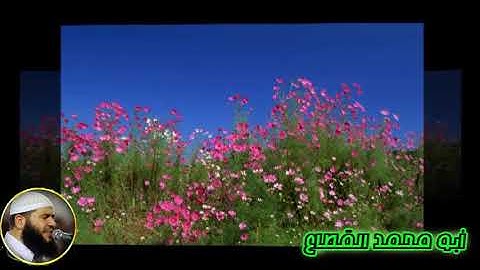 96 القارىء غسان الشوربجي سورة العلق