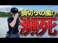 普通の会社員が100万円で本気でトレードした結果がやばい【6月投資結果・資産推移】