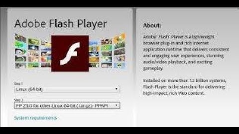 Adobe Flash Player | How to enable Adobe Flash Player in Opera