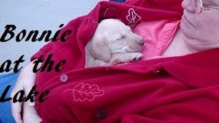 Bonnie at the Lake