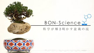 BON-Science　科学が解き明かす盆栽の技 | ガリレオX第168回