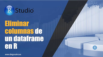 Eliminar columnas de dataframes en R