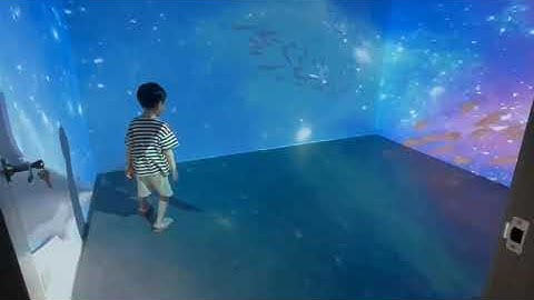 Defilabs Immersive projection software display