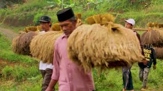 LAPTOP SI UNYIL | MERDEKA DARI KITA (16/08/18) 3-3