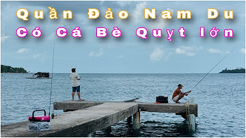 Điểm câu ghềnh cá Bè Quỵt lớn ở đảo Nam Du ( 2025 )