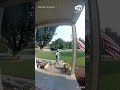Amazon delivery driver fixes, then salutes US flag
