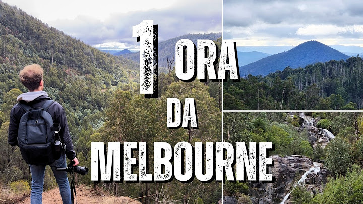 Cosa fare fuori Melbourne: un tour alternativo tra foreste, cascate e panorami mozzafiato