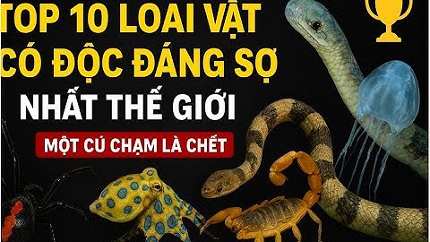 Top 10 Loài Vật Có Độc Đáng Sợ Nhất Thế Giới / Một Cú Chạm Là Chết – TOP 1 Toàn Cầu