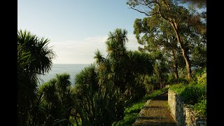 видео: Батумский Ботанический Сад 16.09.25 #georgia #adjara #blacksea картинка: Батумский Ботанический Сад 16.09.25 #georgia #adjara #blacksea