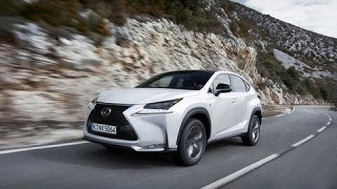 LEXUS NX200 2021 升級全功能 全速域+車道維持可調+自動跟車起停  tesla 特斯拉 comma ai openpilot