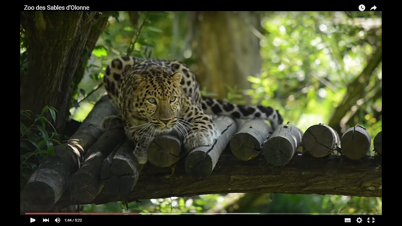Zoo des Sables d'Olonne
