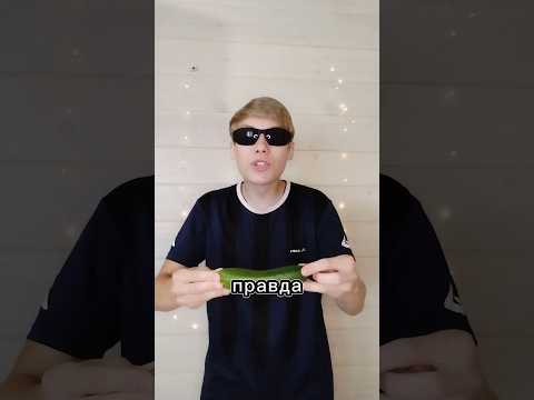 Почему кошки боятся огурцов.#рекомендации