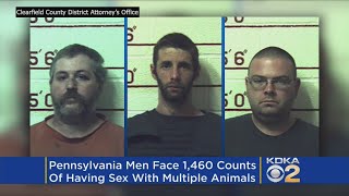 3 Pa. Men Facing More Than 1,400 Counts Of Allegedly Having Sex With Dogs, Horses, Cow & A Goat