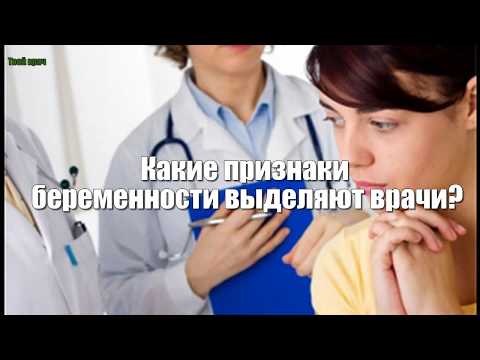 Как наспор узнать сколько долек в апельсине