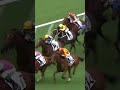 8 | 14 | ROMANTIC FANTASY | A Badel #Badel #Horse #Racing #Sport #Results #賽馬結果 #马會 #油管 #赛马结果