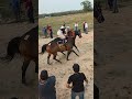 #somoscarrilesdelazona