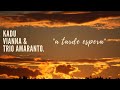 A TARDE ESPERA - Kadu Vianna e Trio Amaranto