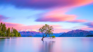 Relaxing Music for Stress Relief ~ Soothing Music for Meditation ~ Healing Therapy ~ Sleep ~ Spa by Meditation Relax Music 1,025,476 views 4 years ago 3 hours, 19 minutes