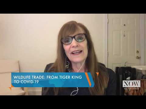 Video: Tiger King And Other Recommendations To See At Home During The Coronavirus Quarantine