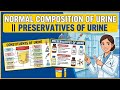 Normal Composition of Urine ll Preservative Of Urine #constiutentsofurine Chemical composition Urine