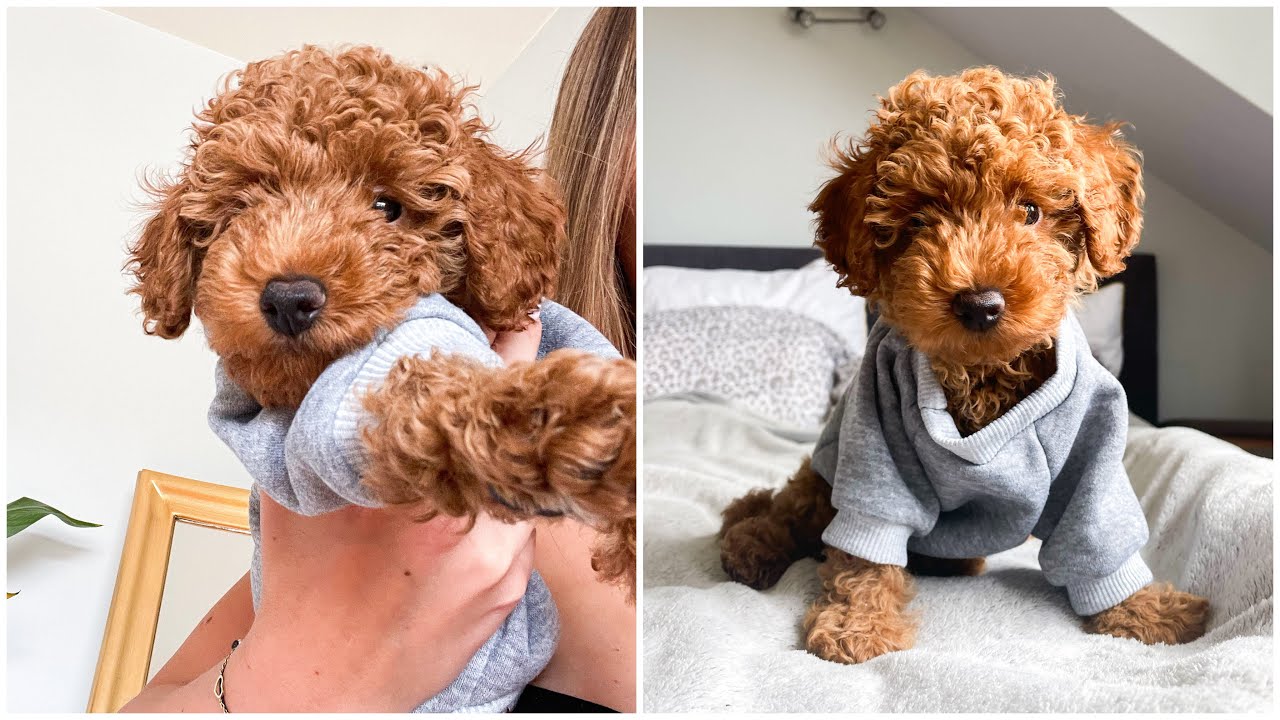 NASZ PIERWSZY DZIEŃ RAZEM