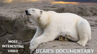 The Bear Cubs - Growing Up in a Dangerous World | Free Documentary Nature