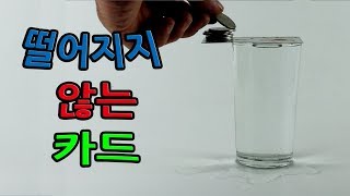 [과학실험_부착력] 떨어지지 않는 카드_Cards on water_건빵박사1분실험-science experiment