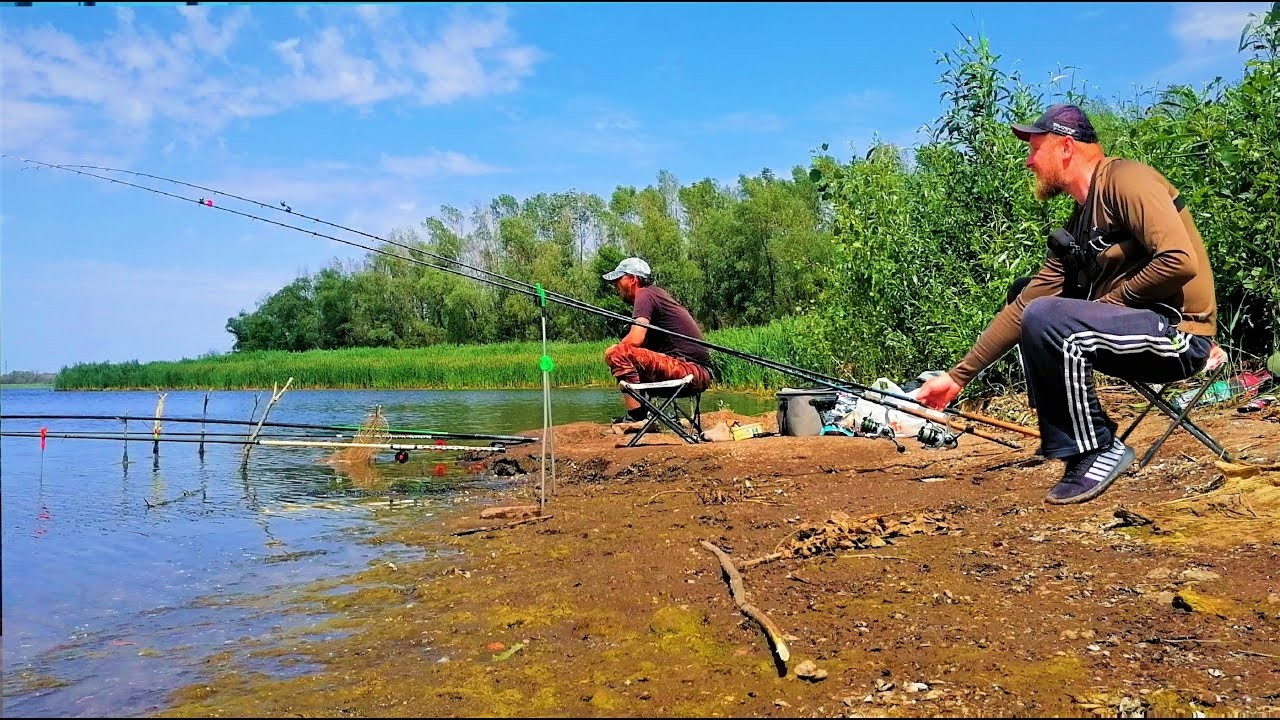 ТУТ СОМИ ДАЮТЬ ЛЯЩІВ А САЗАНИ ШВИДШІ ПАРОВОЗІВ