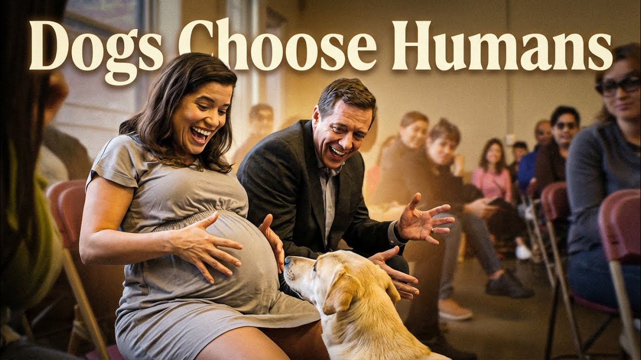 When Dogs Choose Humans 💖 #dogs #adoptme #viralvideo #adoptdontshop #foryou 