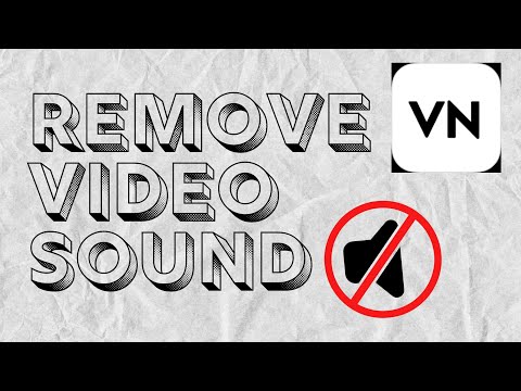 How to Remove Original Video Sound in VN Apps