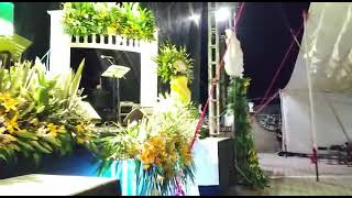 Granito De Mostaza En Vivo Nini Estrada Y Su rgano Meldico 