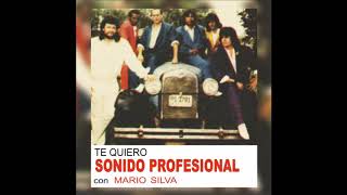 Video thumbnail of "Sonido profesional   te quiero"
