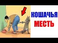 Лютые приколы. КОШАК ОТОМСТИЛ. Угарные мемы