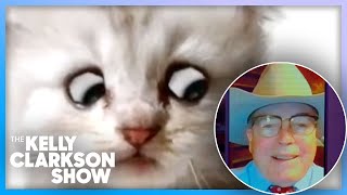 Texas Lawyer Explains Viral Cat Face Filter Zoom Mishap