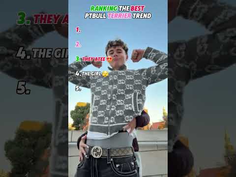 RANKING THE BEST PITBULL TERRIER DANCE TREND Youtubeshorts