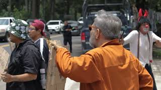 Cuidar a Don José: Manifestación en PopoPark en defensa de árboles. (25-07-2023)