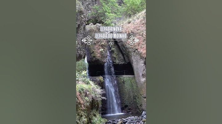 Die Levada Nova – Atemberaubende Wanderung mit Wasserfall & Tunnel! 🌿💦 #madeira #wandern  #hiking