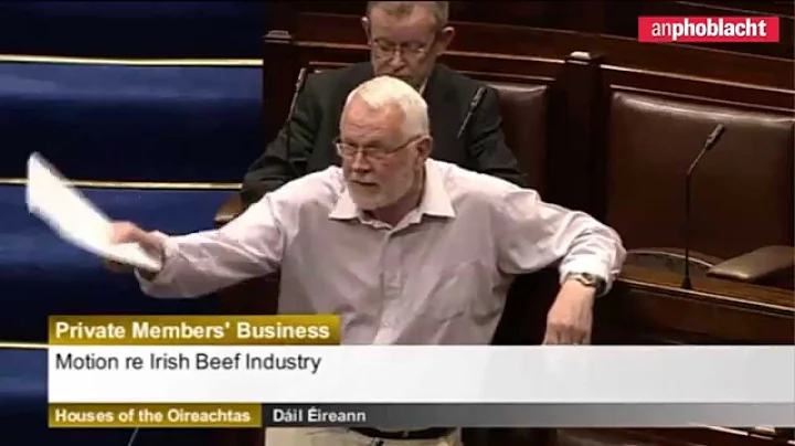 It's time this Government stood up for Irish beef ...