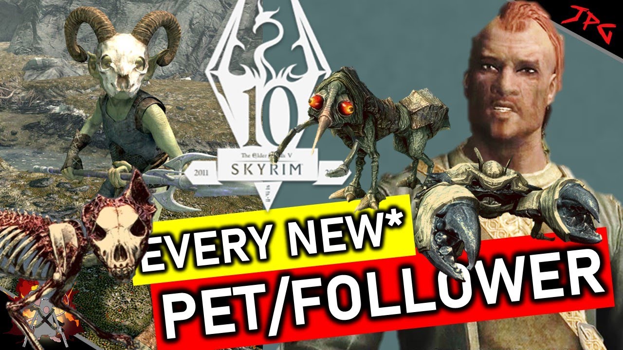 EVERY NEW* FOLLOWER AND PET IN SKYRIM - Anniversary Edition - Unique  Creatures, Follower's And Pets! - YouTube