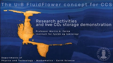 The UiB FluidFlower concept for CCS   research activities and live CO2 storage demonstration  202503